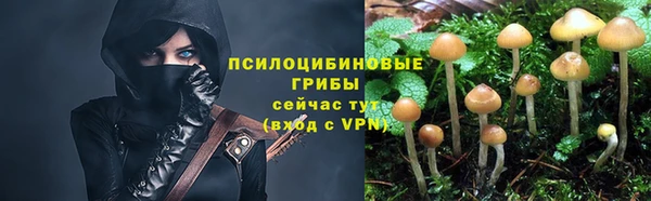 спиды Магас