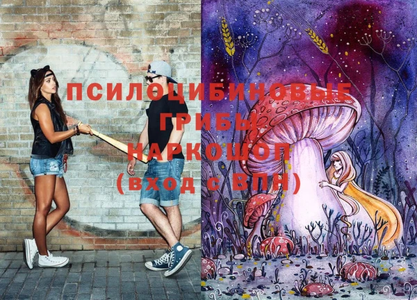 ПСИЛОЦИБИНОВЫЕ ГРИБЫ Магадан