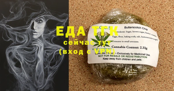 спиды Магас