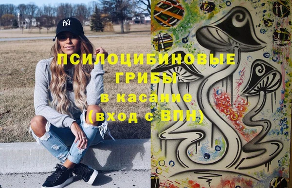 спиды Магас