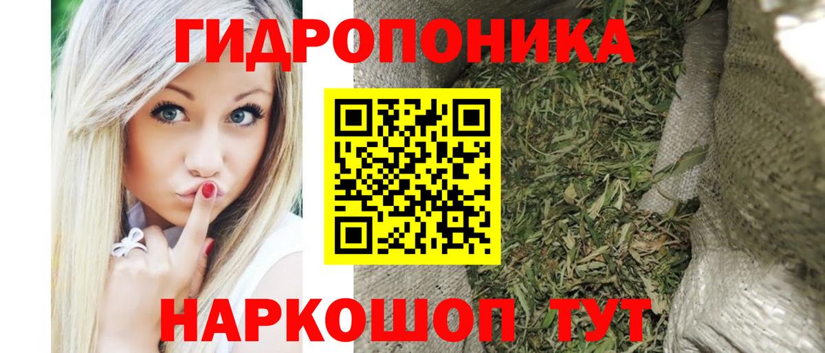Марихуана сатива Протвино